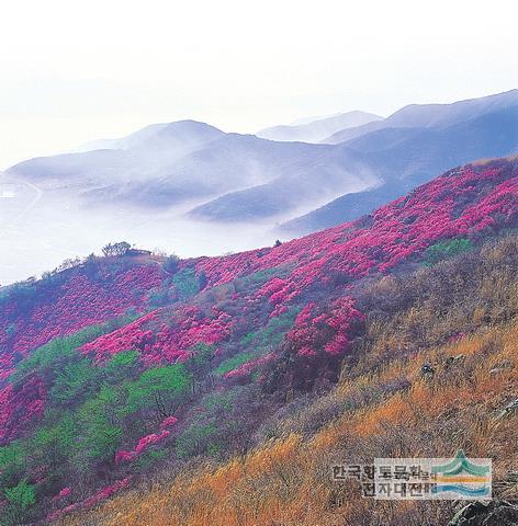 대표시청각 이미지