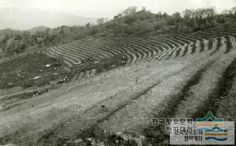 대표시청각 이미지