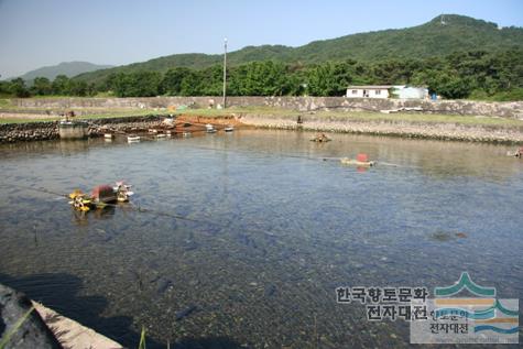 대표시청각 이미지