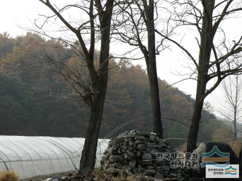 대표시청각 이미지