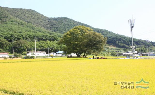 대표시청각 이미지