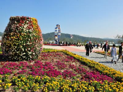 2010 제천 국제 한방 바이오 엑스포 행사장 전경 썸네일 이미지