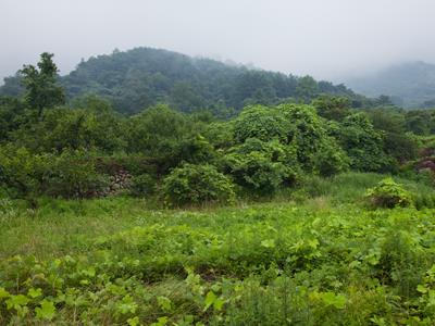 구성 전경 썸네일 이미지