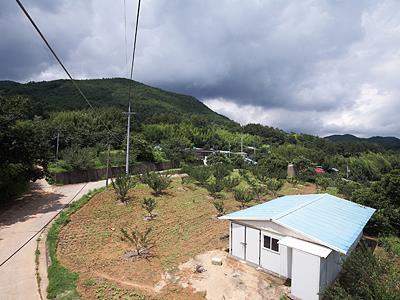 관리 유물 산포지 전경 썸네일 이미지