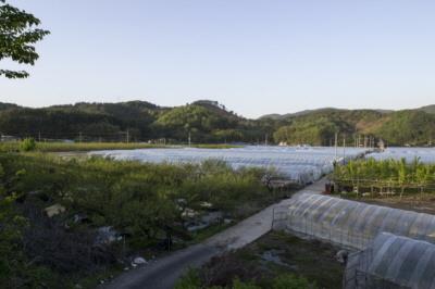 목도 전경 썸네일 이미지