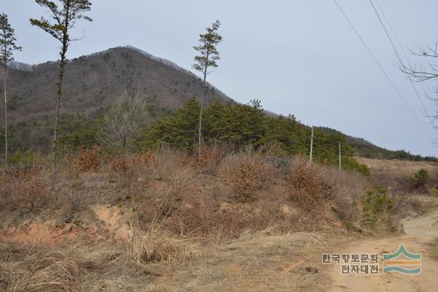 대표시청각 이미지